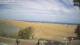 Maspalomas (Gran Canaria) 08.05.2025 16:28