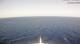 AIDAcosma 08.06.2025 16:28
