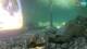 Brijuni 30.04.2025 16:29
