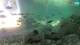 Brijuni 08.05.2025 16:29