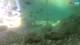 Brijuni 11.05.2025 16:29