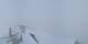 Grindelwald 08.05.2025 16:18