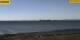 Gold auf Fehmarn 10.05.2025 16:29