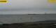Gold auf Fehmarn 29.04.2025 16:29