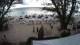West Bay 08.05.2025 16:29