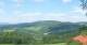Zierling 03.07.2025 16:29