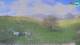 Kobarid 29.04.2025 16:30