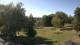 Steinbrunn 14.06.2025 16:30