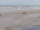 Corpus Christi, Texas 19.06.2025 16:30