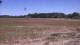 Les Landes-Genusson 09.07.2025 16:30