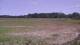 Les Landes-Genusson 01.06.2025 16:31