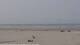 Nes (Ameland) 09.06.2025 16:31