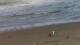 Wenduine 15.07.2025 16:34
