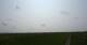 Westerhever 08.06.2025 16:31