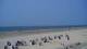 Norderney 08.06.2025 16:32