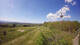 Schotten 30.04.2025 16:32