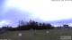 Burnt Pine (Norfolk Island) 08.07.2025 16:32