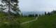 Luchsingen 08.06.2025 16:31
