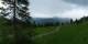 Luchsingen 14.06.2025 16:31