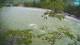 Bovec 08.07.2025 16:32