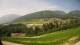 Perca 08.06.2025 16:33