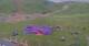 Kuzun 14.06.2025 16:33