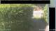 Hasloch am Main 30.06.2025 16:33