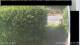 Hasloch am Main 14.06.2025 16:33