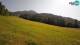 Kranjska Gora 14.06.2025 16:33