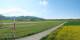 Belp 30.04.2025 16:35