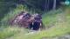 Kranjska Gora 03.07.2025 16:34