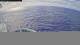 Norwegian Aqua 03.07.2025 16:34