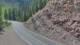 Needleton, Colorado 08.06.2025 16:33