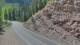 Needleton, Colorado 14.06.2025 16:33