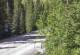 Ironton, Colorado 08.06.2025 16:36