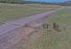 Creede, Colorado 14.06.2025 16:36
