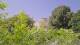 Tolone 14.06.2025 16:03
