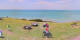 Donville-les-Bains 09.07.2025 16:03