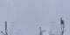 Crans-Montana 05.05.2025 16:34