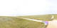 La Barre-de-Monts 13.06.2025 16:38