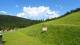 La Bresse 20.06.2026 16:35
