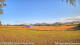 Kelsey Creek 20.06.2026 16:35