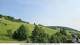 Todtnau 08.06.2025 16:49