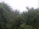 Herdecke 08.06.2025 16:50