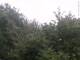 Herdecke 05.07.2025 16:50