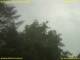 Nettetal 14.06.2025 16:50
