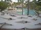 Punta Cana 11.07.2025 16:51