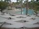 Punta Cana 08.06.2025 16:51