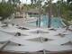 Punta Cana 14.06.2025 16:51
