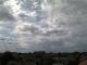 Halver 11.07.2025 16:51